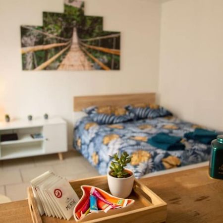 Studio Cosy Tv Wifi Confortable Et Chaleureux Gaillon Exteriér fotografie
