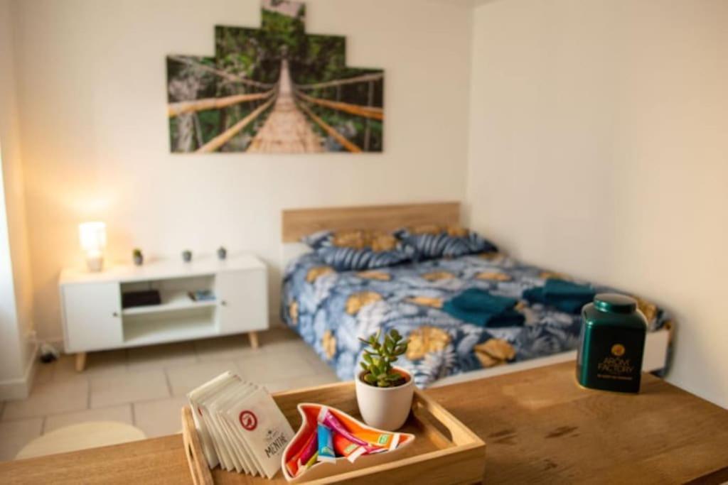 Studio Cosy Tv Wifi Confortable Et Chaleureux Gaillon Exteriér fotografie